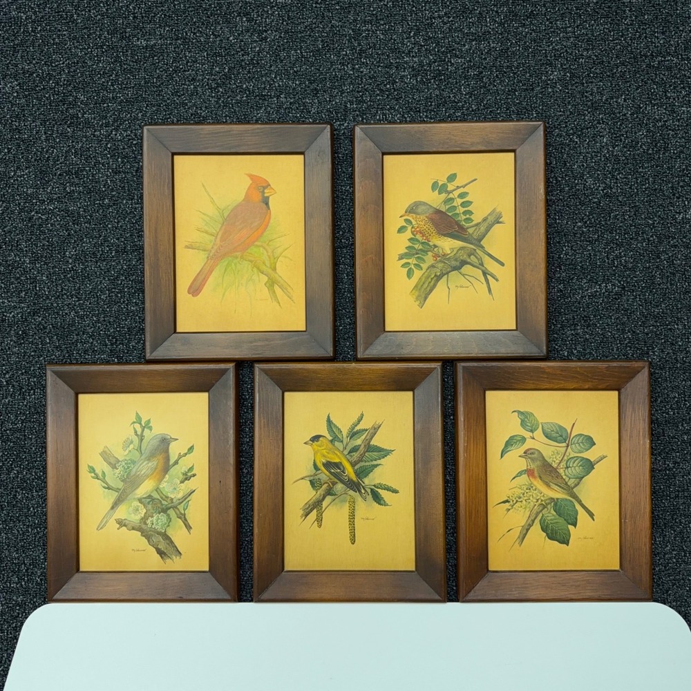 Vintage Ph Gonner Bird Prints Set of 5 Framed Wall Art Cardinal Goldfinch Wood